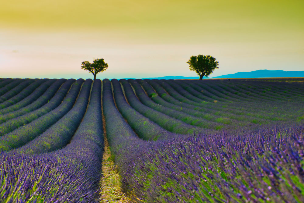 Fotoreise Provence 2019 Teilnehmerfotos