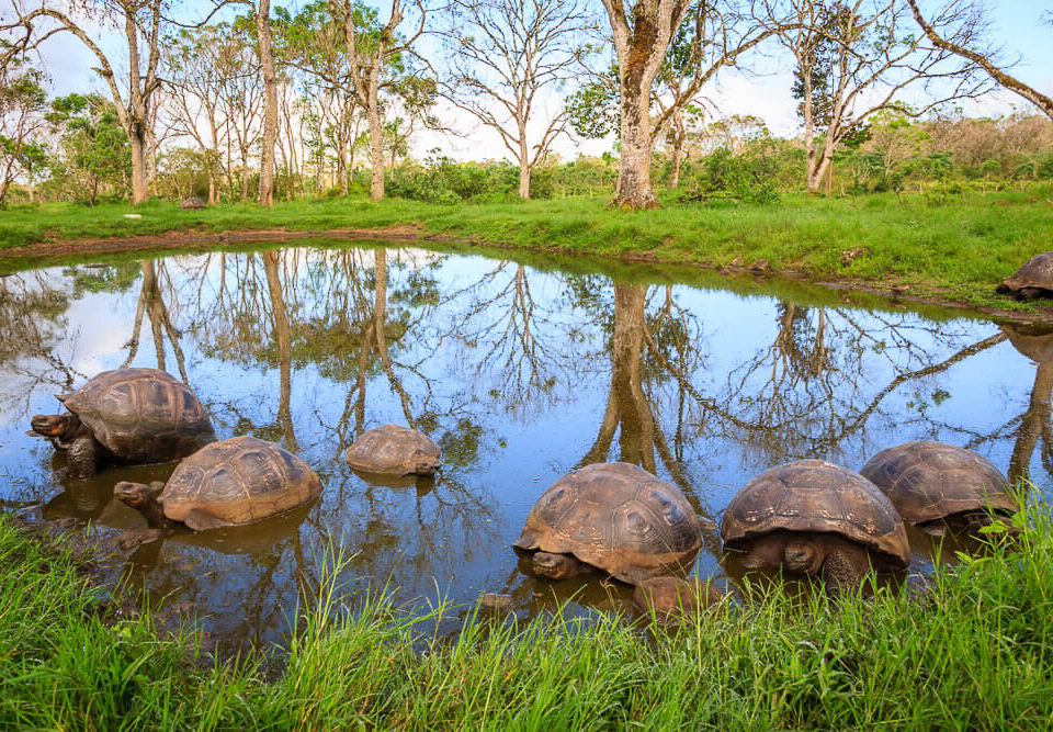 fotoreise ecuador galapagos