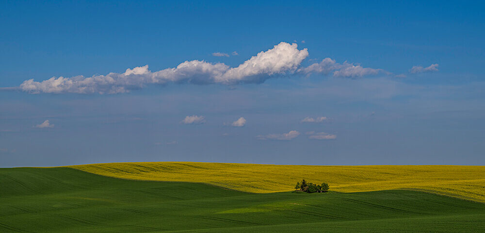 © Christoph Pohle