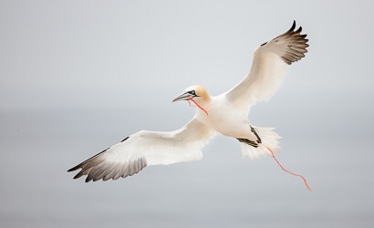 Fotoreisen und Fotourlaub in kleiner Gruppe mit Stefano Paterna