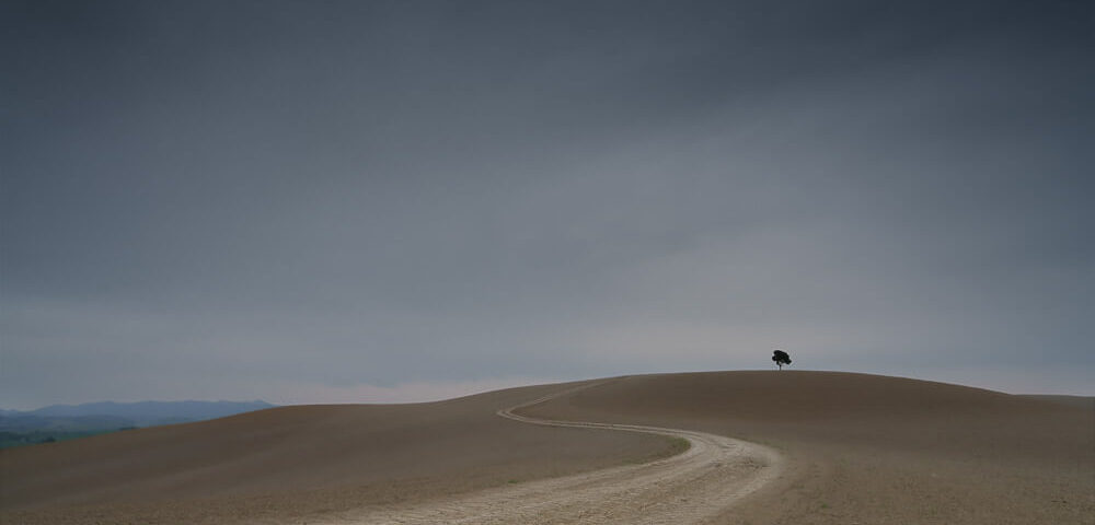 © Peter Lang