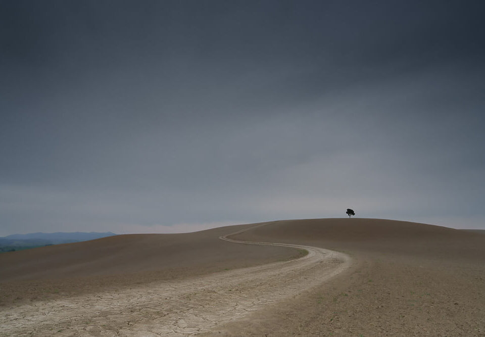 © Peter Lang